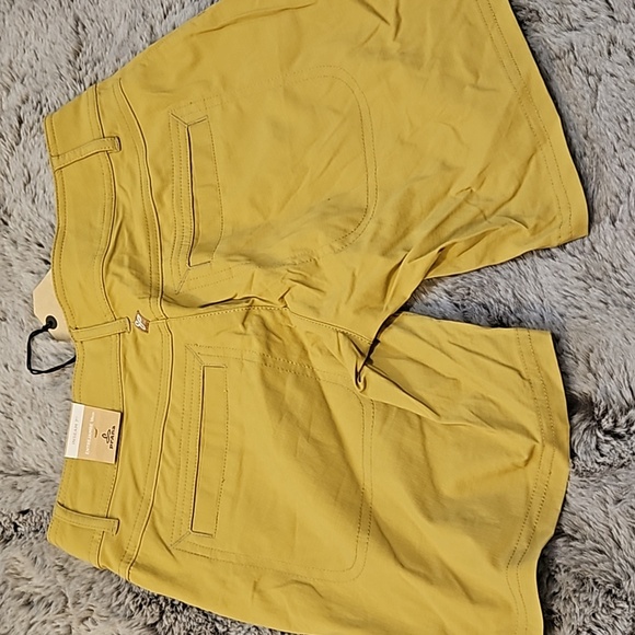 COPY - Prana shorts - Picture 4 of 4